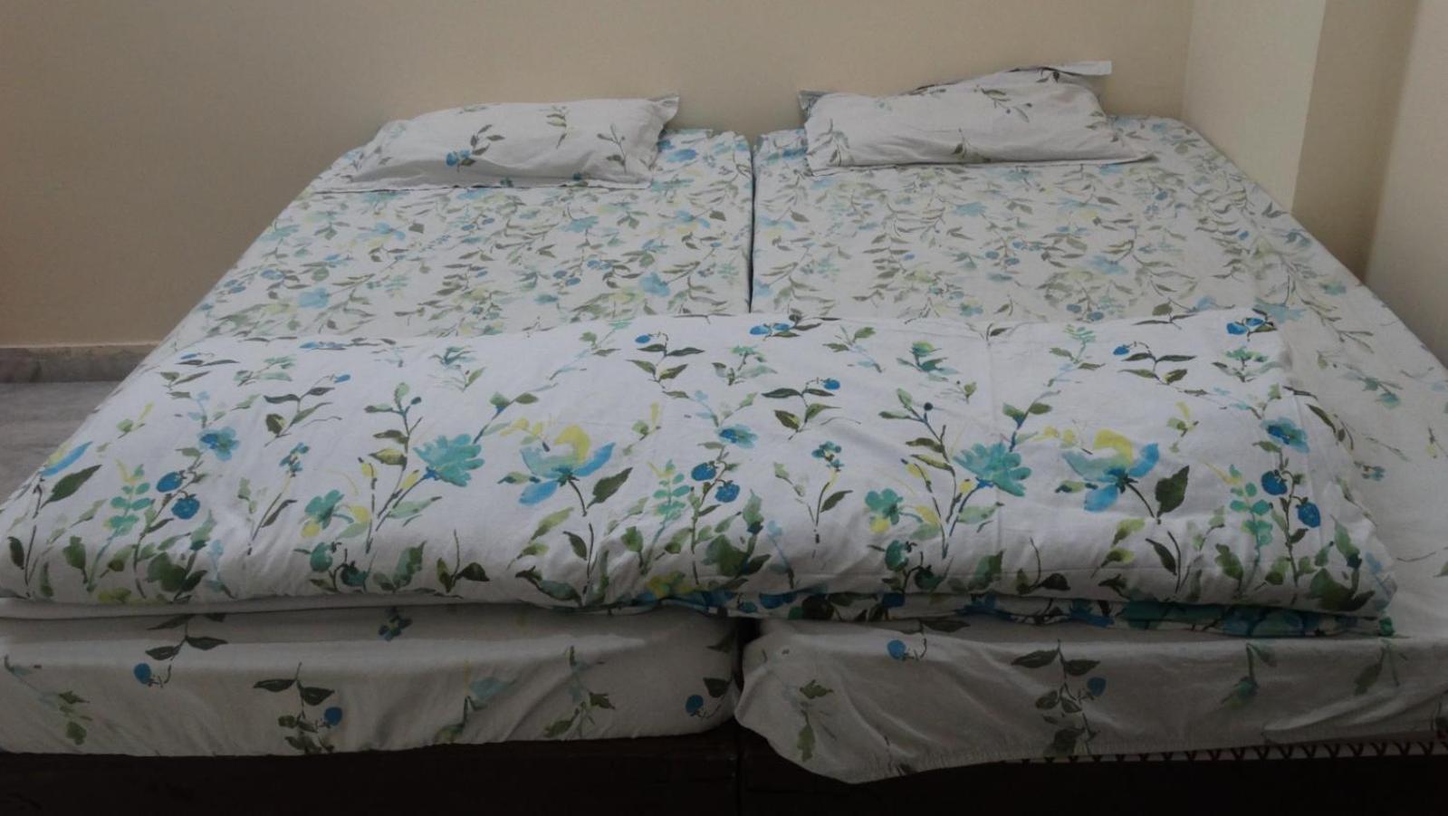 Om Trance Homestay Jaipur Dış mekan fotoğraf